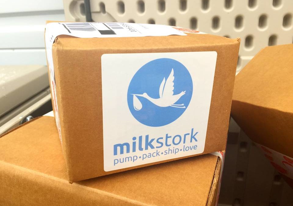 Is Milk Stork Worth It?  One Working, Traveling Mama Weighs In
